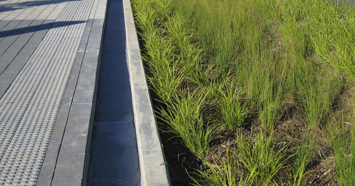 cai_landscape_blaxland-comman_3