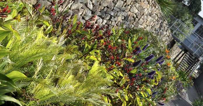 cai_landscape_cockatooisland_2