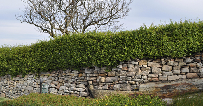 cai_landscape_cockatooisland_5