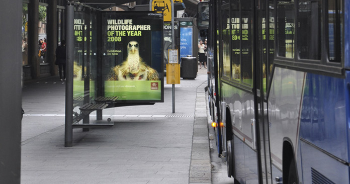 cai_streetscape_york-st_1